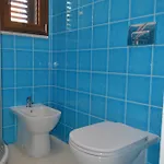 L'antropologo 3*