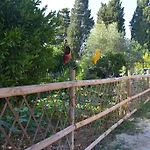 L'antropologo Alghero