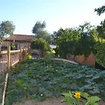 Bed & Breakfast L'antropologo 3*