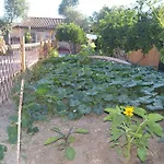 Bed & Breakfast L'antropologo Alghero