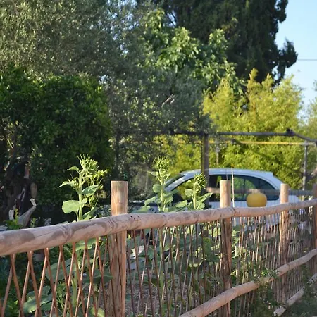 לינה וארוחת בוקר L'antropologo אלגהרו