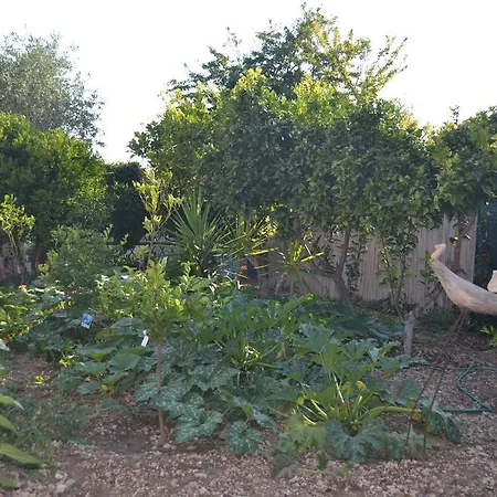 L'antropologo アルゲーロ