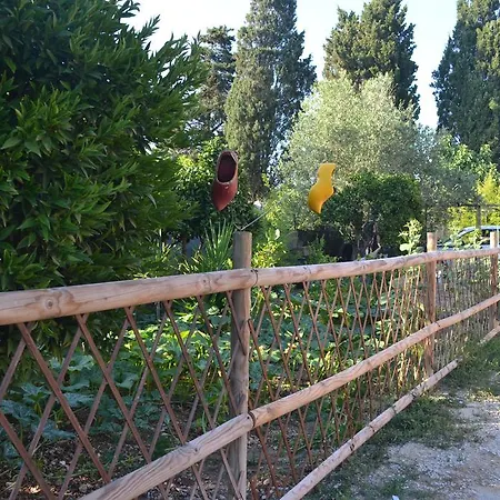 L'antropologo אלגהרו