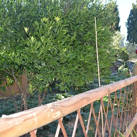 L'antropologo