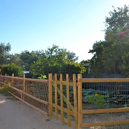 Bed & Breakfast L'antropologo Alghero
