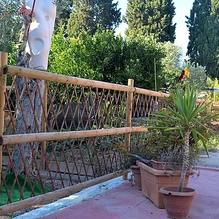 Bed & Breakfast L'antropologo
