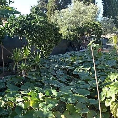 L'antropologo Alghero