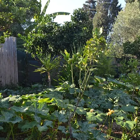 فندق مبيت وإفطار L'antropologo ألغيرو