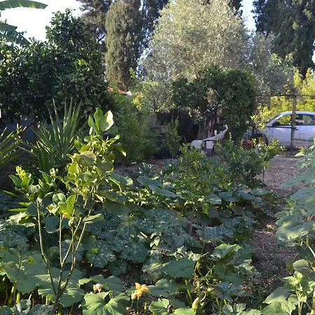 فندق مبيت وإفطار L'antropologo ألغيرو