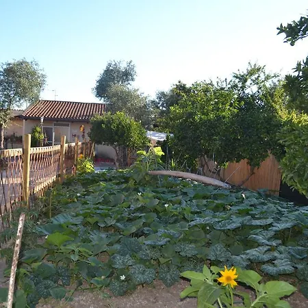 فندق مبيت وإفطار L'antropologo 3*