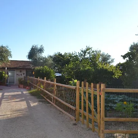 فندق مبيت وإفطار L'antropologo 3*