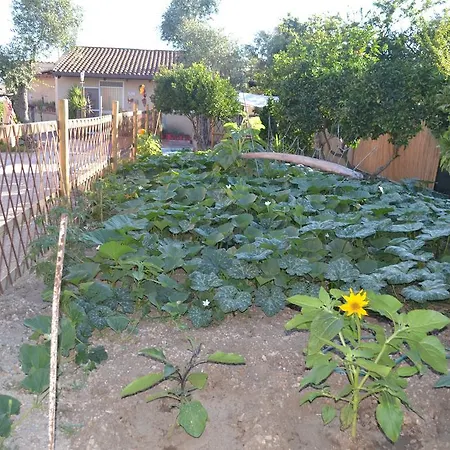 Frühstückspension L'antropologo Alghero